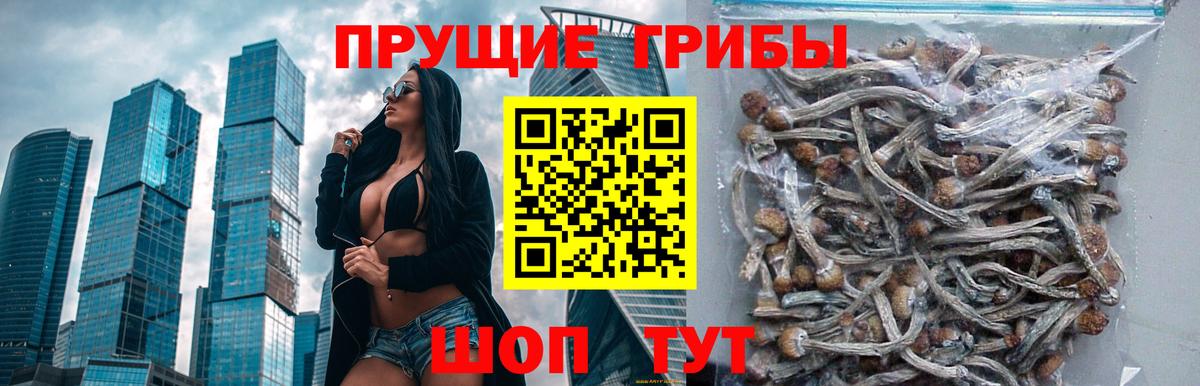 Псилоцибиновые грибы MAGIC MUSHROOMS  Вход с VPN  Богданович 